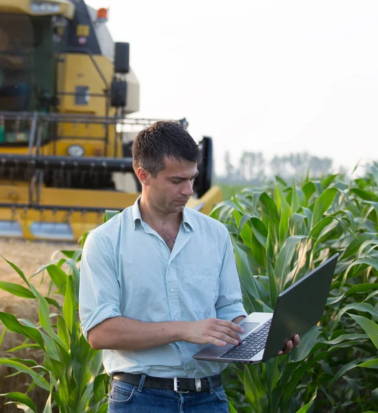 Ingeniero Agronomo